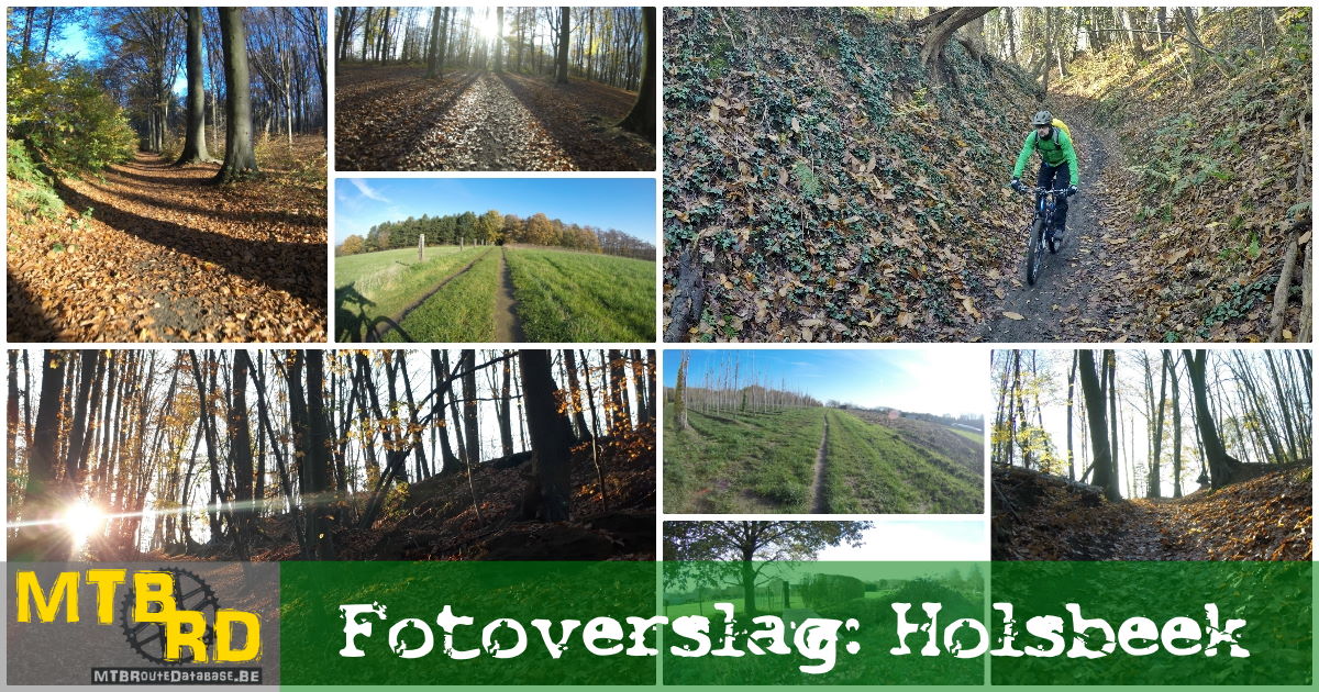 foto album collage