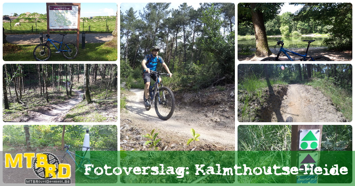 Fotoreportage Grenspark Kalmthoutse-Heide